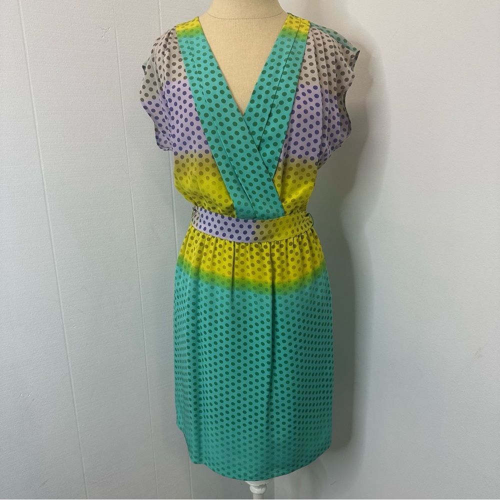 Presley Sky Silk Dress Size XS Polka Dot V-Neck Sheath Dress Bright Fun Colorful